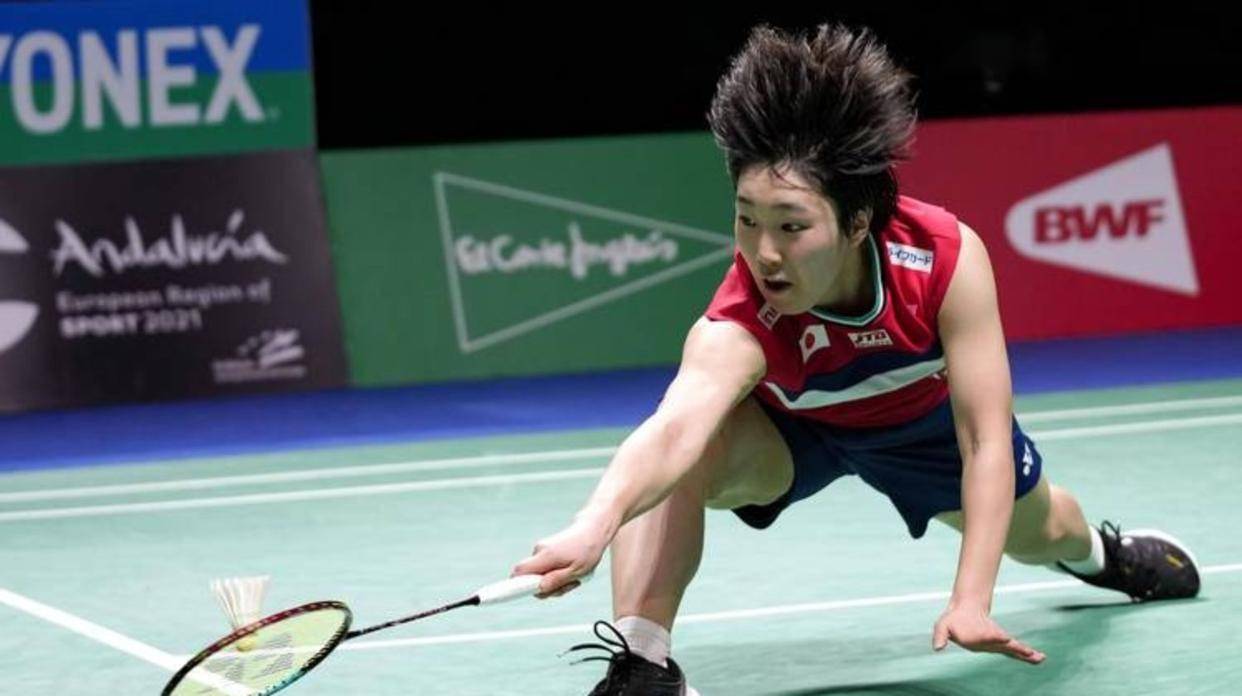 当阿诺德模 当阿诺德模