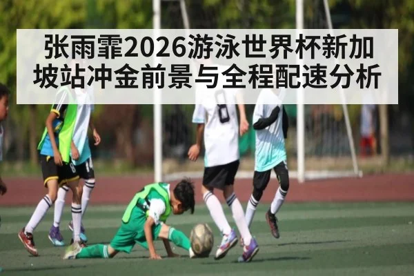 张雨霏2026游泳世界杯新加坡站冲金前景与全程配速分析